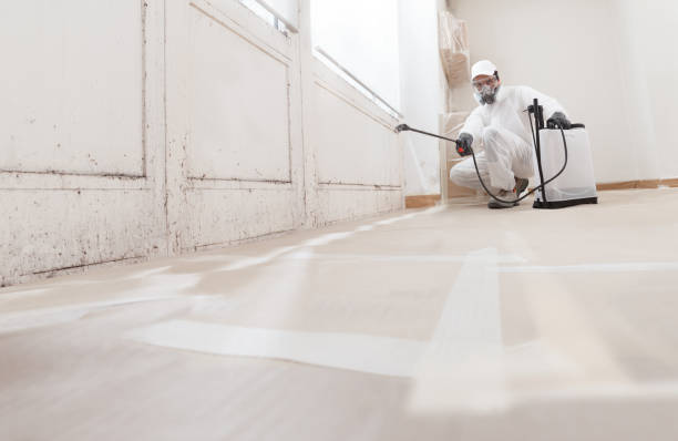 24/7 Emergency Attic Mold Removal experts in Hudson, MA