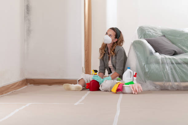 Trusted Crawl Space Mold Removal service in Hudson, MA - Cheap Mold Removal